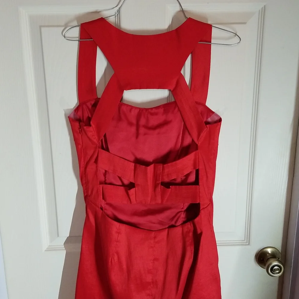 Red Ruched Dress - Picture 4 of 6